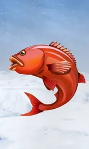 Ice Fishing